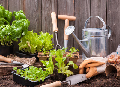 Feng Shui - im Garten - Arbeiten mit Erde