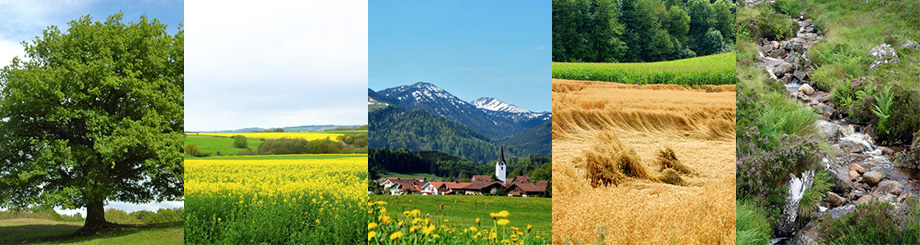 Feng Shui - Der gute Ort - Die umgebende Landschaft und ihr Einfluss auf Haus und Wohnung